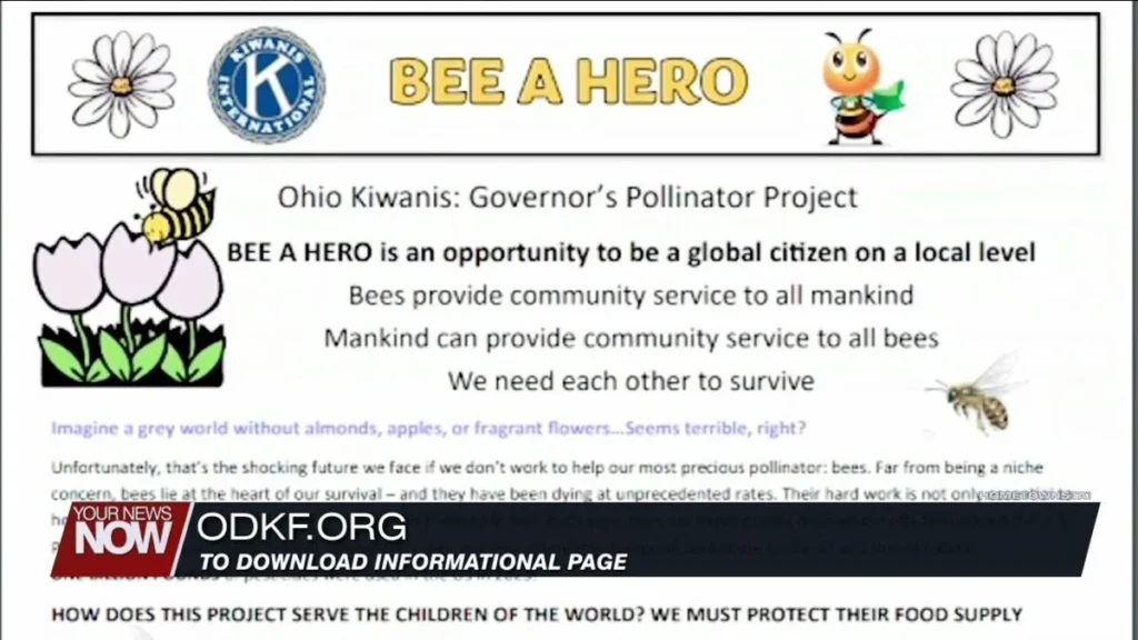 Bee a Hero